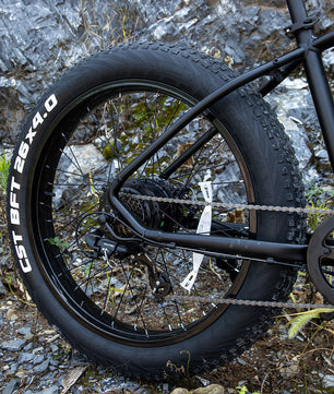 Professional Electric Bike For Adults, 26 X 4.0 Inches Fat Tire Electric Mountain Bicycle, 1000W Motor 48V 15Ah Ebike For Trail Riding, Excursion And Commute, UL And GCC Certified