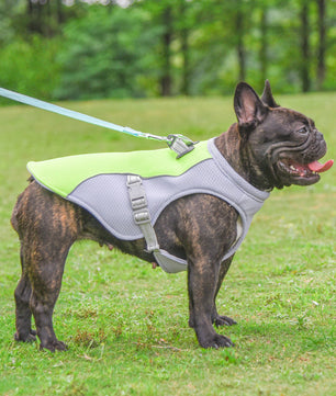 Summer Pet Dog Cooling Vest Heat Resistant Cool Dogs Clothes Breathable Sun-proof Clothing For Small Large Dogs Outdoor Walking